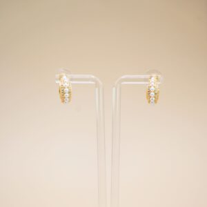 Elegant Row Earrings