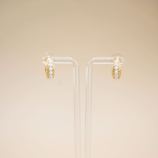 Elegant Row Earrings